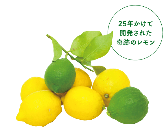 25年かけて開発された奇跡のレモン